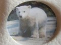 Button01
