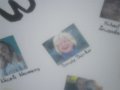 Sam_0009-k