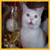 Unser Weihnachten 2007
