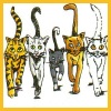 Test f�r Katzenbesitzer