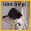 Neues aus dem Katzenleben