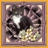 Mein Name ist Kitty